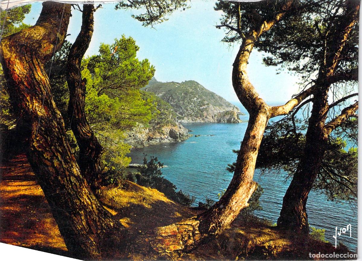 Postales: Postal de la Costa Azul, Paisaje Varois, Francia - Mar Mediterr&aacute;neo
