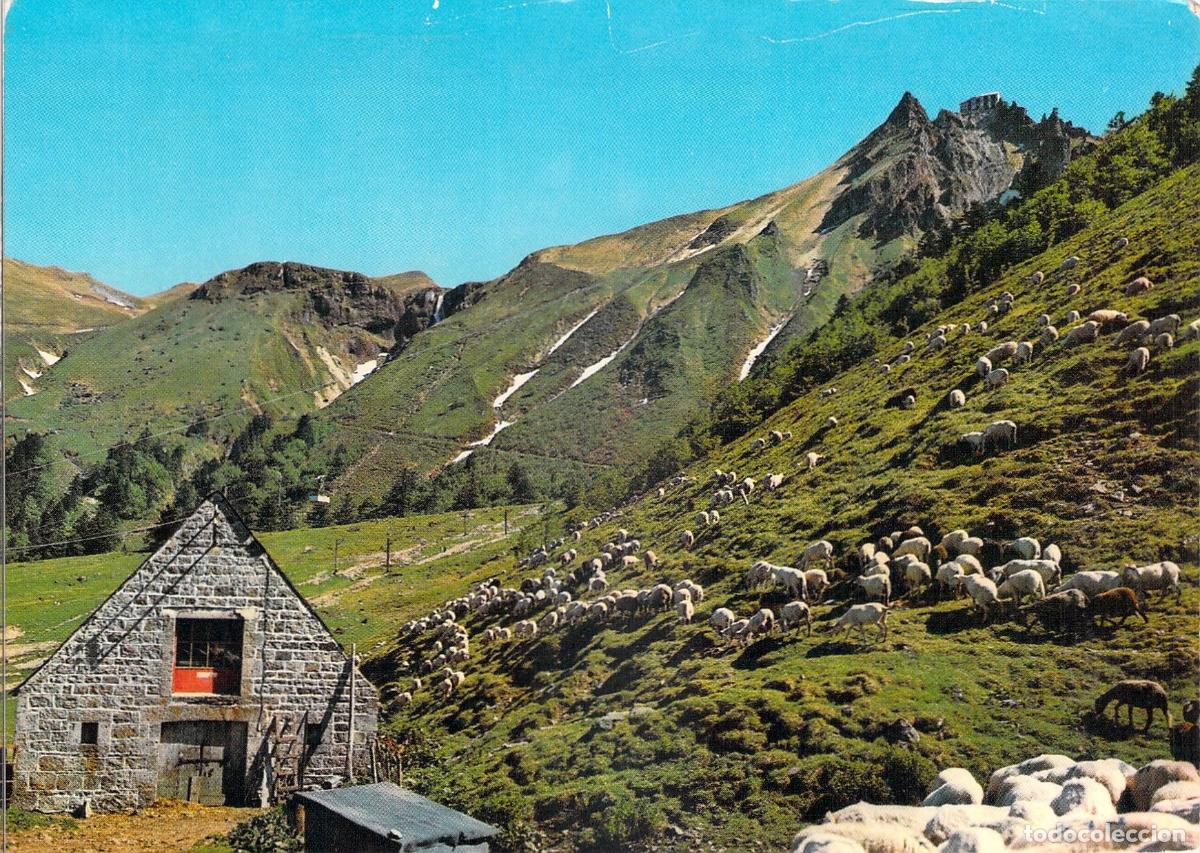 Postales: Postal Auvergne Puy de Sancy Monta&ntilde;a Ovejas y Buron