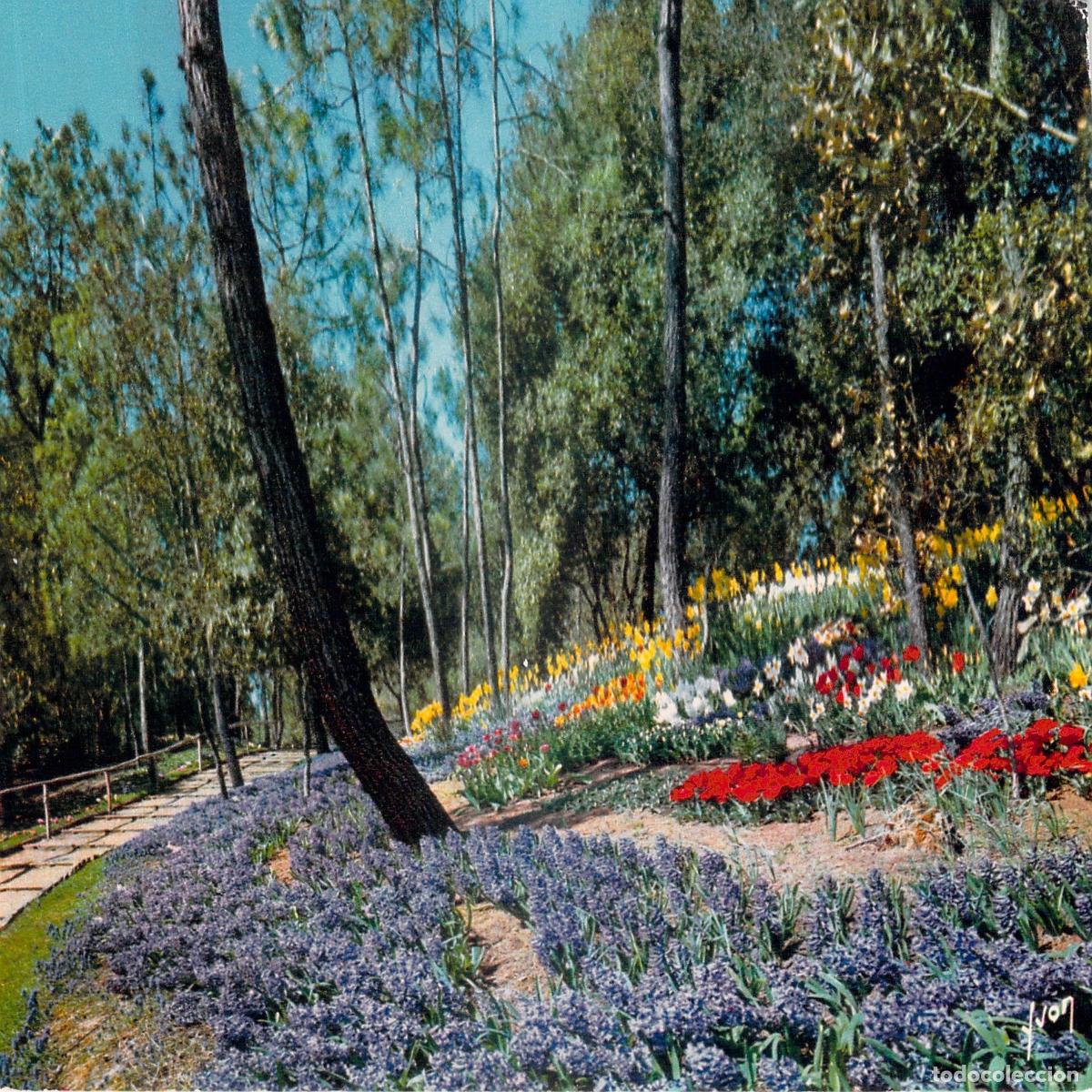 Postales: Postal de La Tranche-sur-Mer, Jardines y Flores en Vend&eacute;e