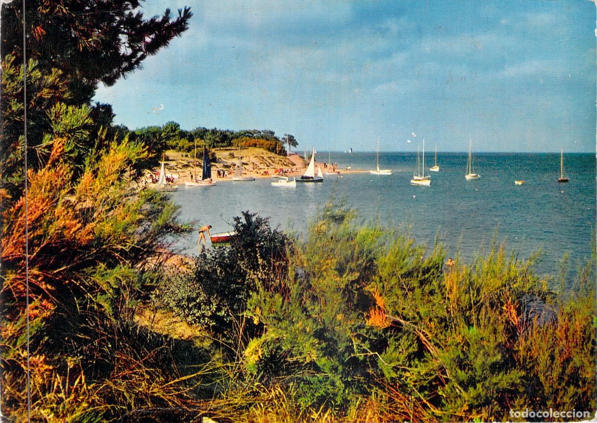 Postales: Postal de Ile de R&eacute;, Les Portes - Le Fier, Anse de Trousse-Chemise