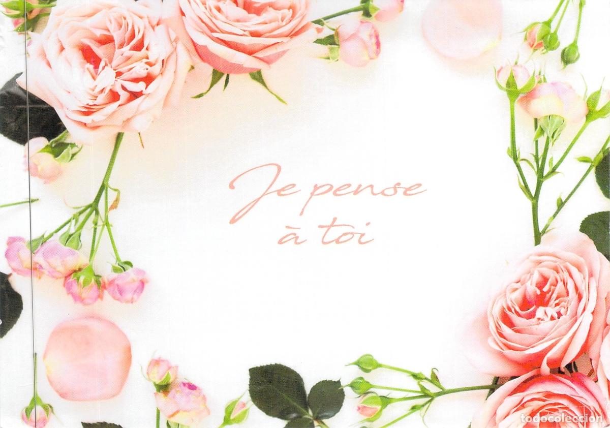 Postales: Postal Octubre Rosa C&aacute;ncer de Mama - Flores Rosas y Mensaje