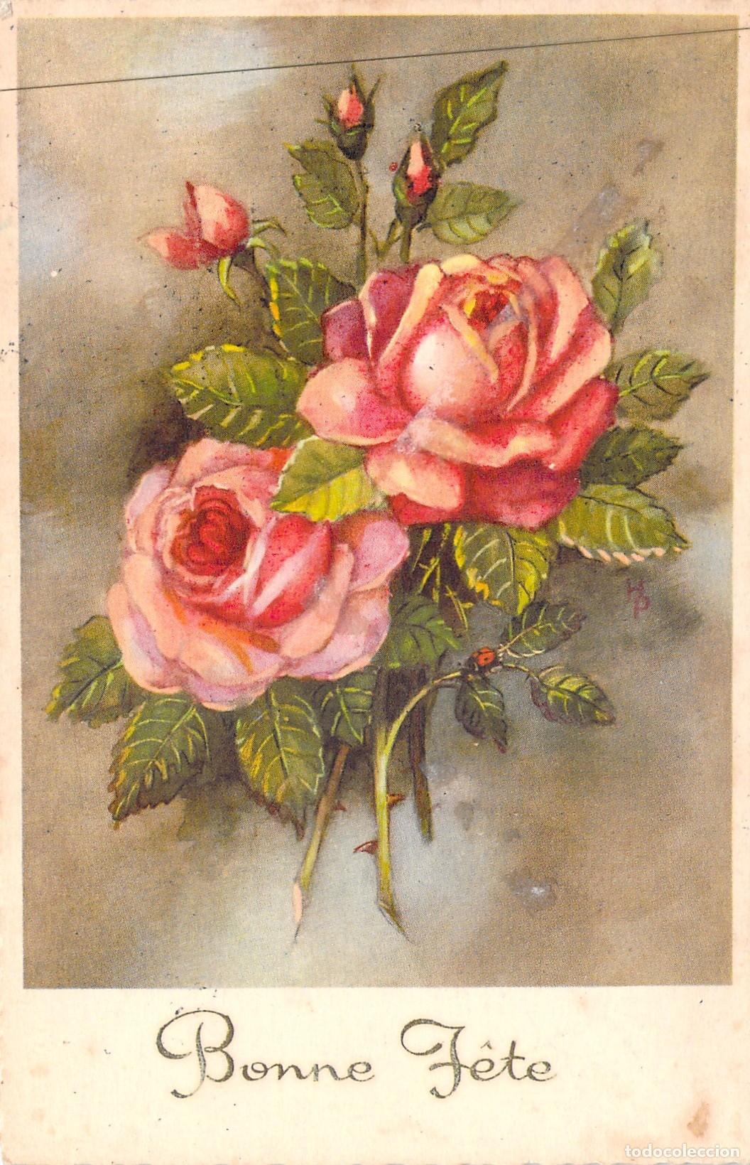 Postales: Postal de Felicitaci&oacute;n con Rosas Rosas Impresa en B&eacute;lgica