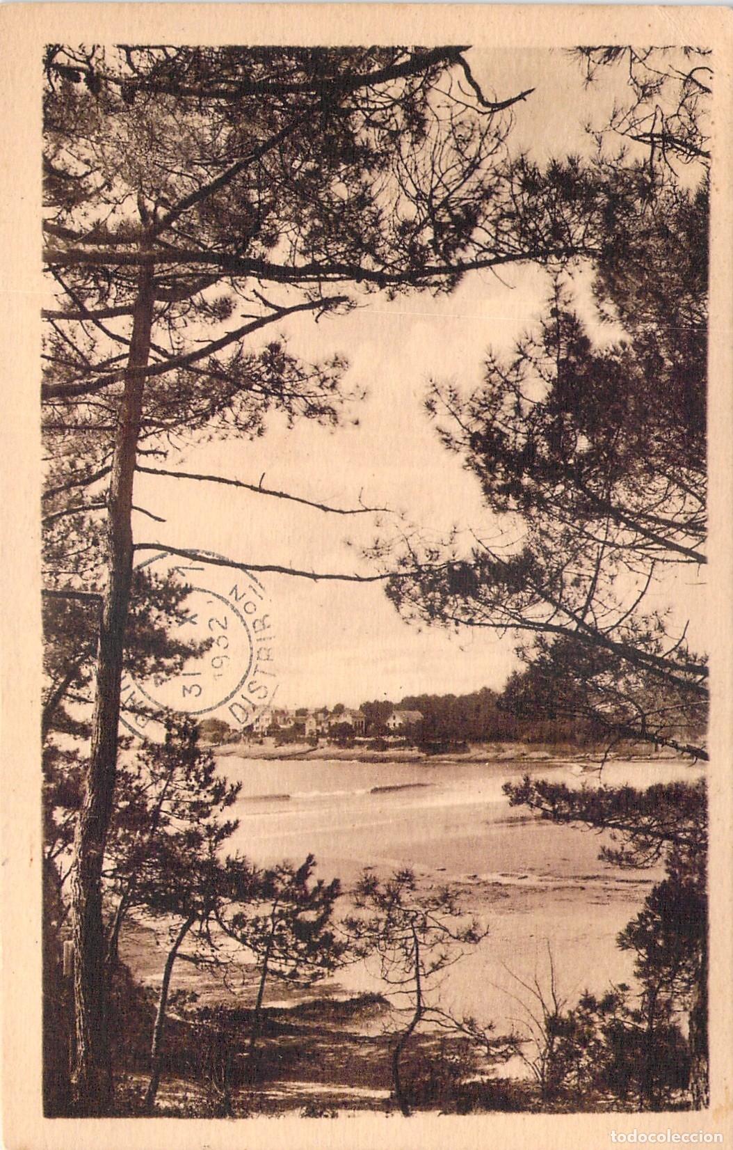 Postales: Postal de Vaux-Nauzan, La Conche - Vista desde el bosque
