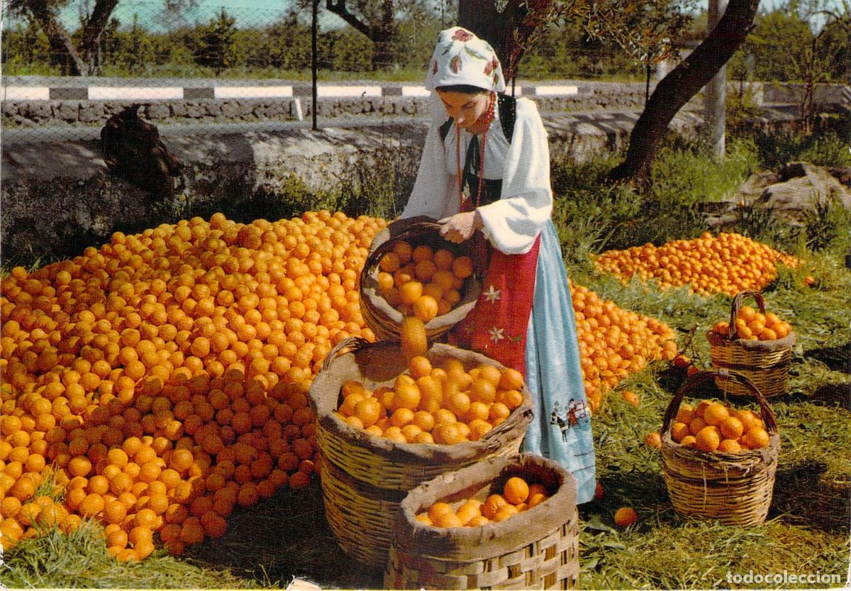 Postales: Postal de Sicilia: Mujer en Traje T&iacute;pico con Cosecha de Naranjas