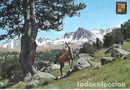 Postales: POSTAL A COLOR N&ordm; 3511 VALL ANDORRA VALL ENVALIRA