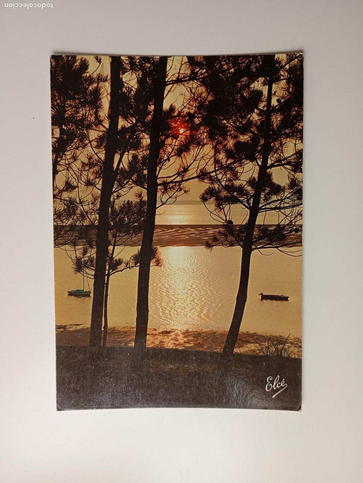 Postales: POSTAL COCHER DE SOLEIL SUR NOTRE COTE. TDKP29C