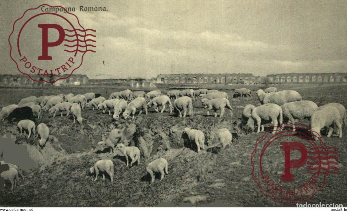 Postcards: CAMPAGNA ROMANA ITALY