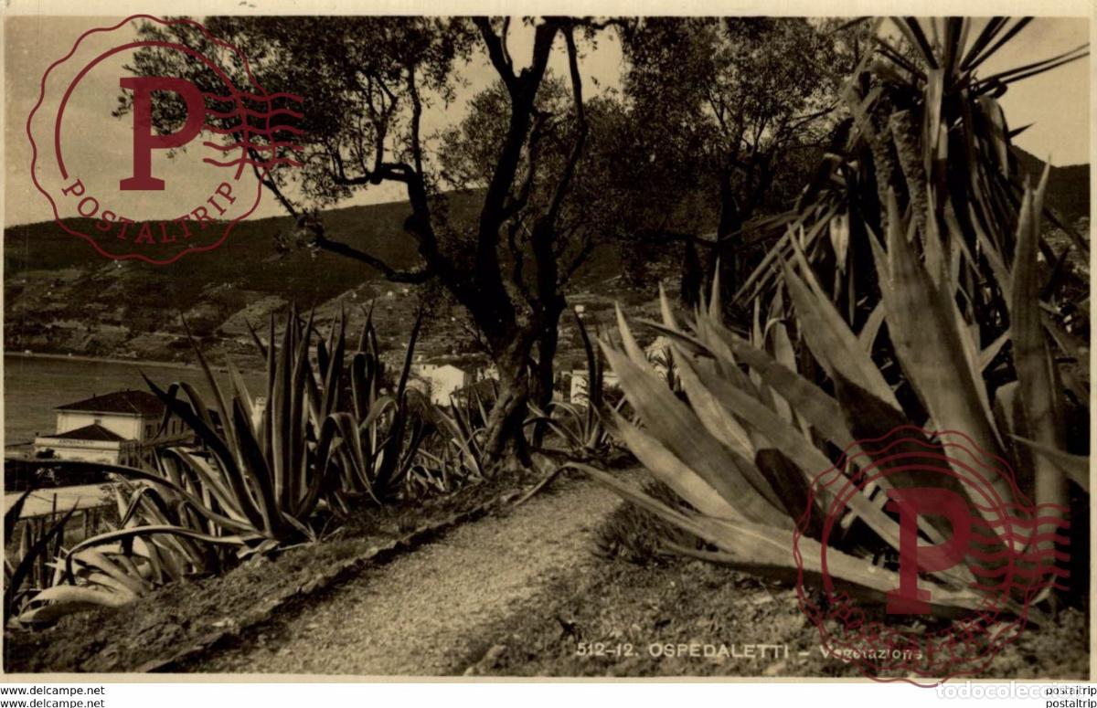 Postkarten: RPPC OSPEDALETTI VEGETAZIONE
