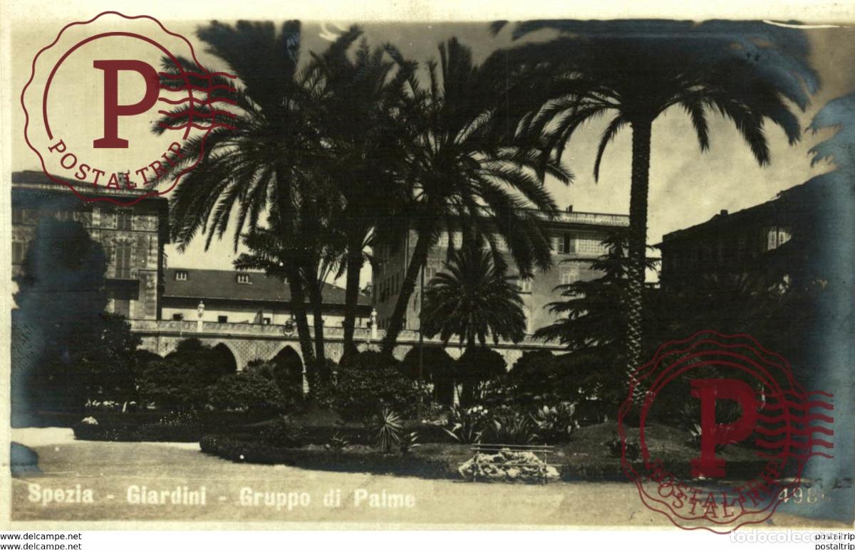 Postales: RPPC spezia giardini gruppo di palme Italie ITALIA ITALIAN ITALY
