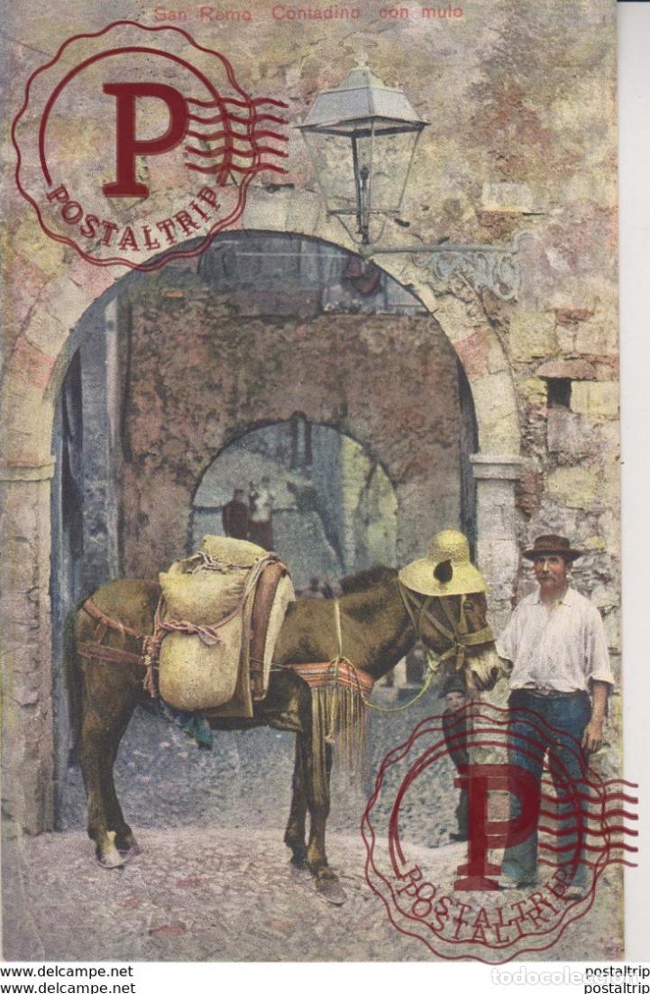 Postales: SAN REMO CONTADINO CON MULO Italie ITALIA ITALIAN ITALY