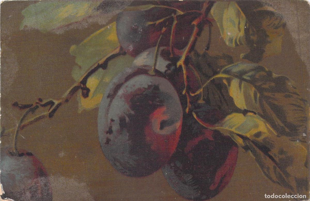 Postales: Postal Art&iacute;stica Italiana de Ciruelas - Serie Velluto