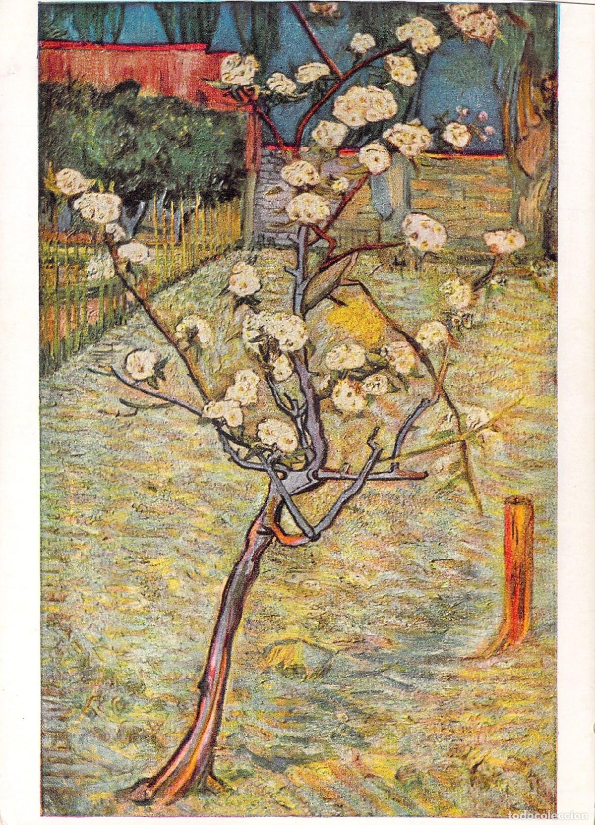 Postales: Postal de Arte Vincent van Gogh Peque&ntilde;o &Aacute;rbol en Flor Pallas Gallery