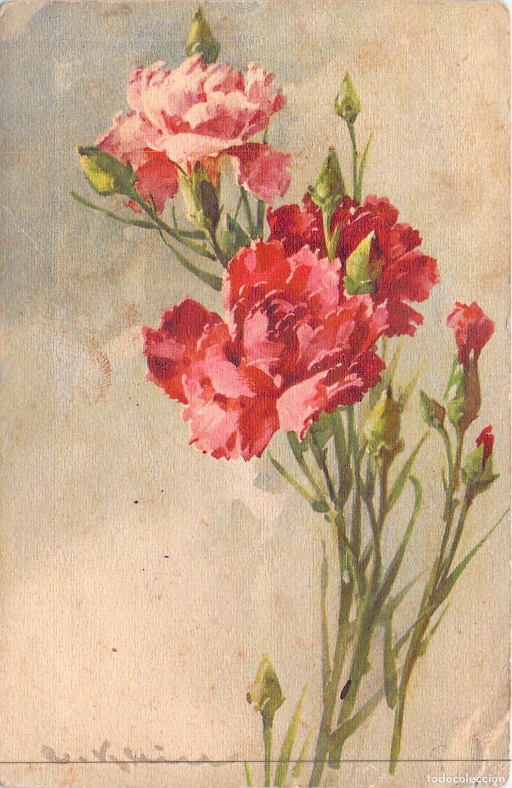 Postales: Postal de Arte con Ilustraci&oacute;n de Claveles Rojos y Rosados