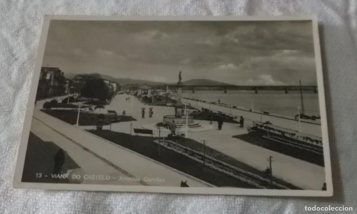 Postales: postal de Viana do Castelo avenida camoes