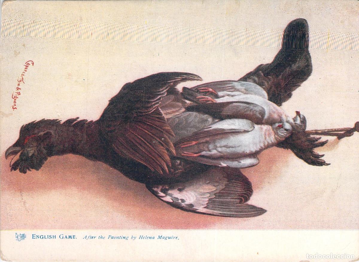 Postales: Postal de Caza Inglesa - Urogallo y Palomas por Helena Maguire