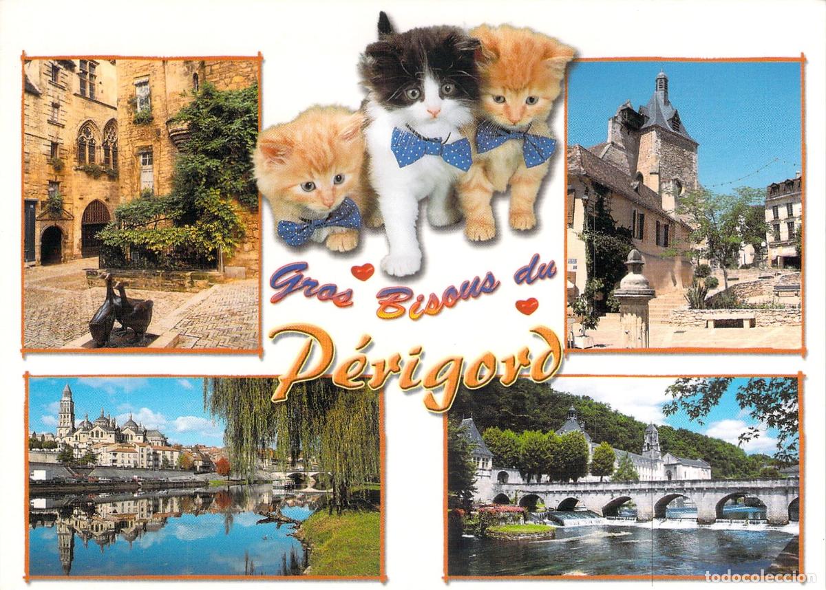Postales: Postal Tur&iacute;stica de P&eacute;rigord con Gatitos y Vistas Regionales