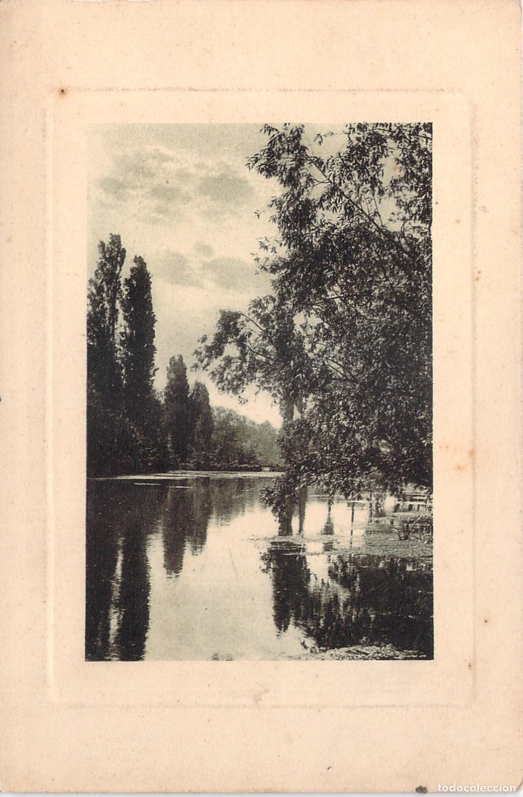 Postkarten: Postal Art&iacute;stica de Paisaje Fluvial con &Aacute;rboles y Reflejos