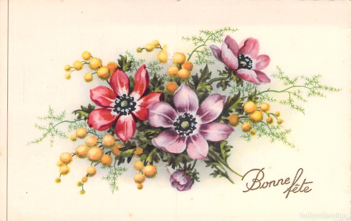Postales: Postal de Felicitaci&oacute;n con Ilustraci&oacute;n de An&eacute;monas y Mimosas