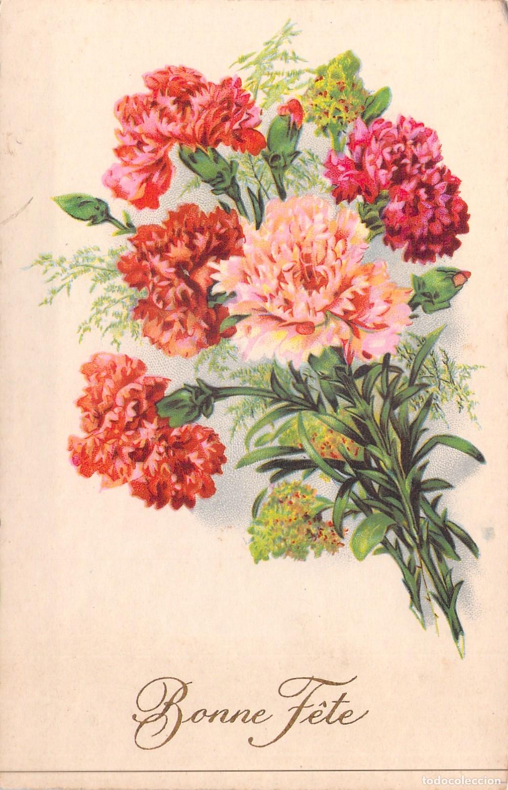 Postales: Postal de Felicitaci&oacute;n con Claveles de Colores Bonne F&ecirc;te