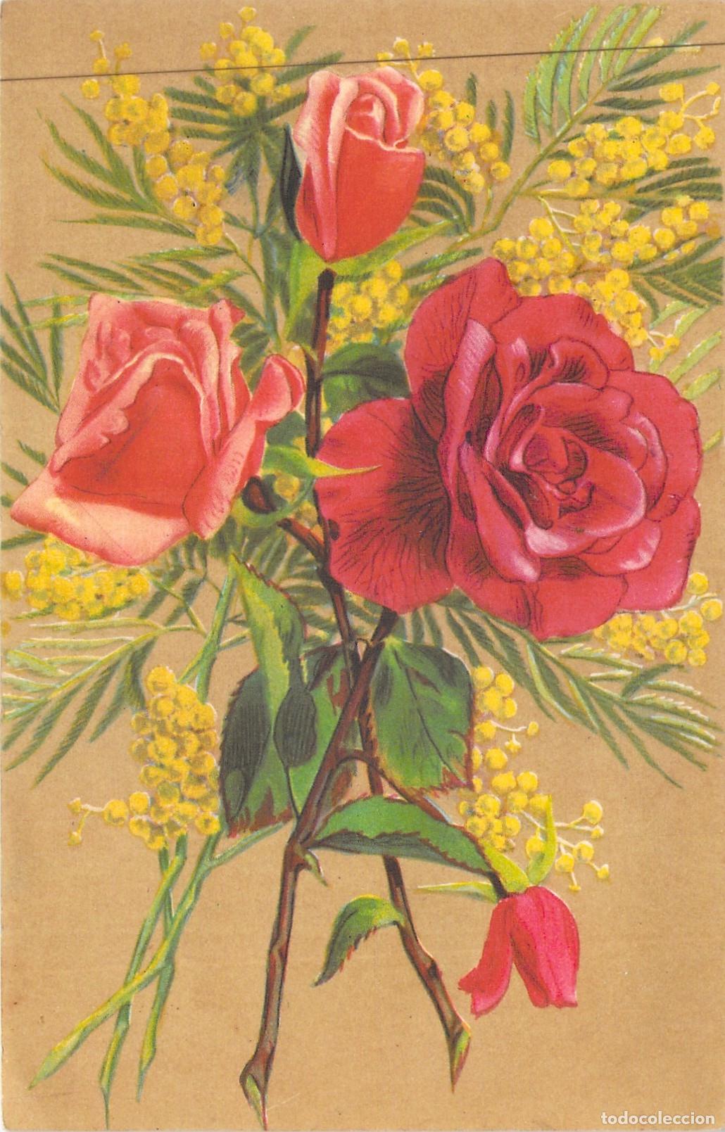 Postcards: Tarjeta Postal Ilustraci&oacute;n de Rosas Rojas y Mimosa