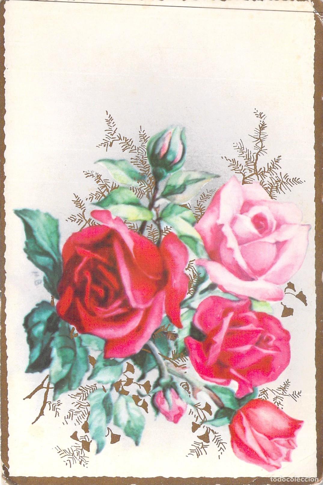 Postcards: Postal con Ilustraci&oacute;n de Rosas Rojas y Rosadas