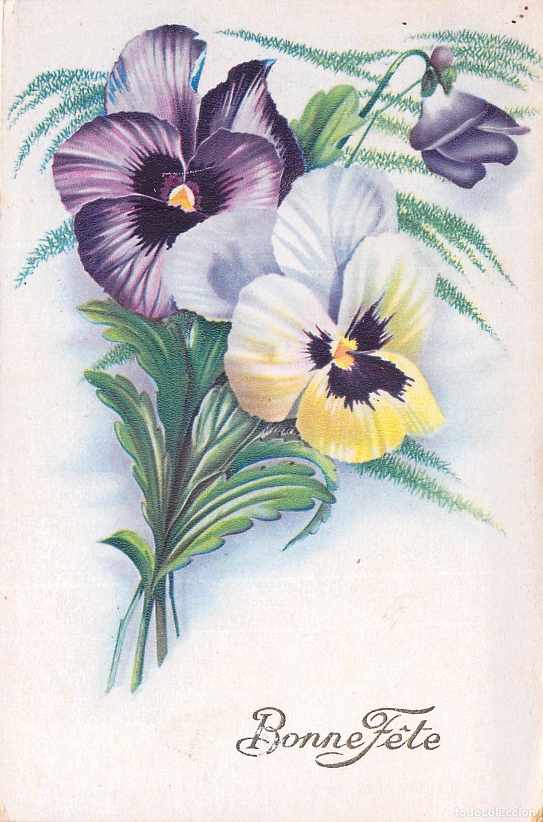 Postales: Tarjeta Postal de Pensamientos Bonne F&ecirc;te Felicitaci&oacute;n