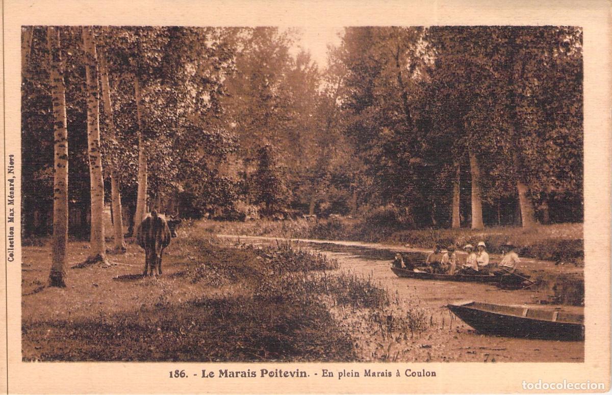 Cartes Postales: Postal de Coulon en el Marais Poitevin, Francia con barca y vaca