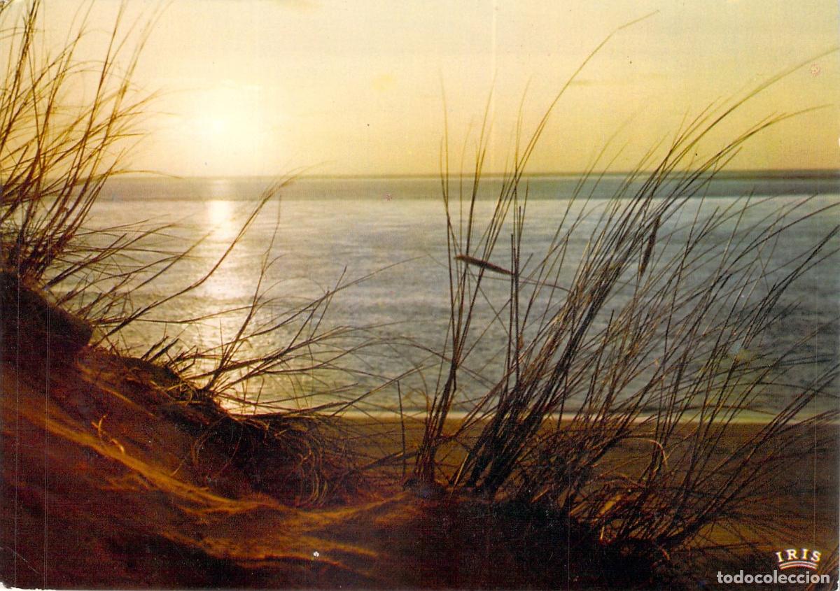 Postales: Postal Atardecer en las Dunas, Paisaje Marino de Francia por Lichtenberger