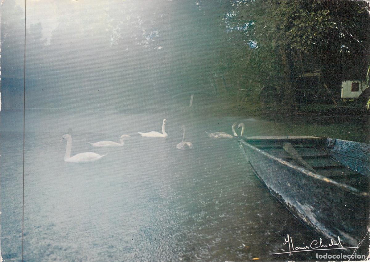 Postales: Postal de Le Marais Poitevin La Venecia Verde Francia