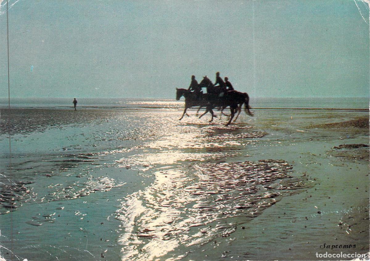 Postkarten: Postal de Deauville: Jinetes en la Playa con Efecto Contraluz