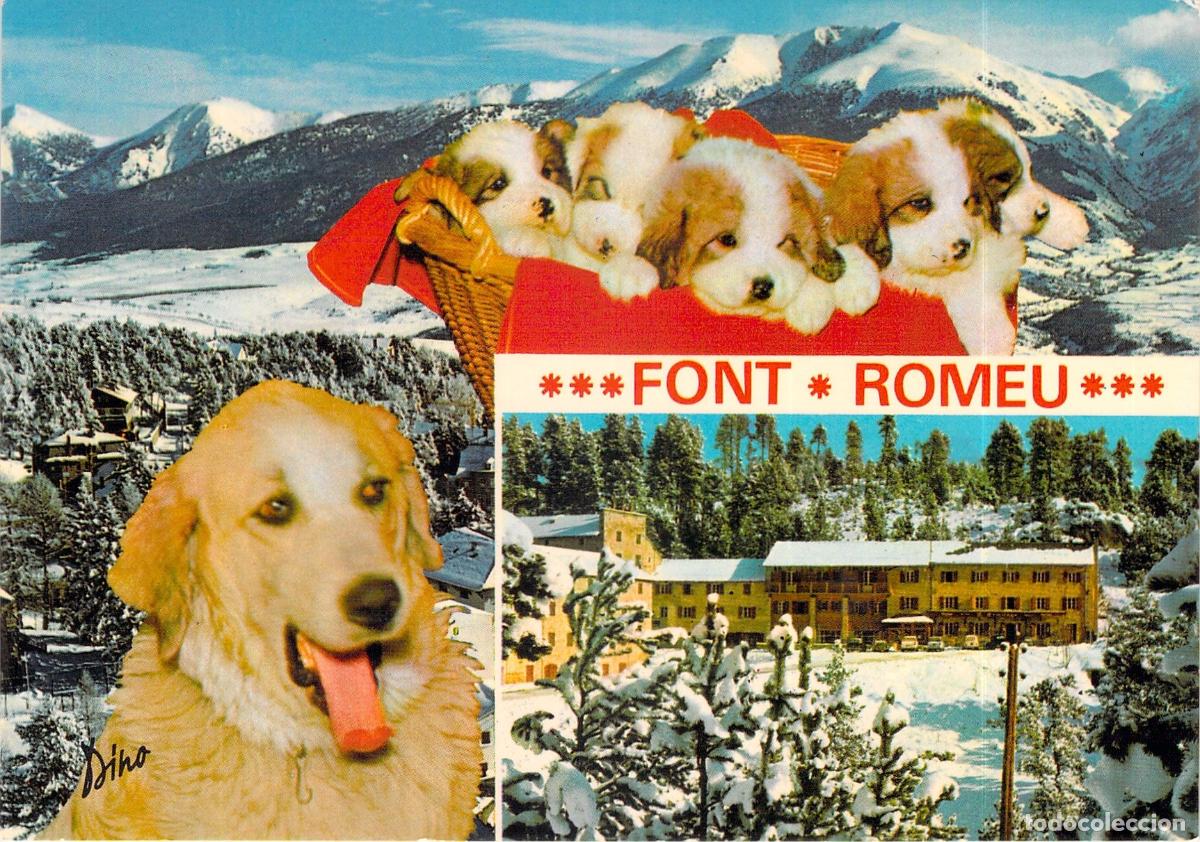Postales: Postal de Font-Romeu con Perros de los Pirineos y el Hotel L'Ermitage