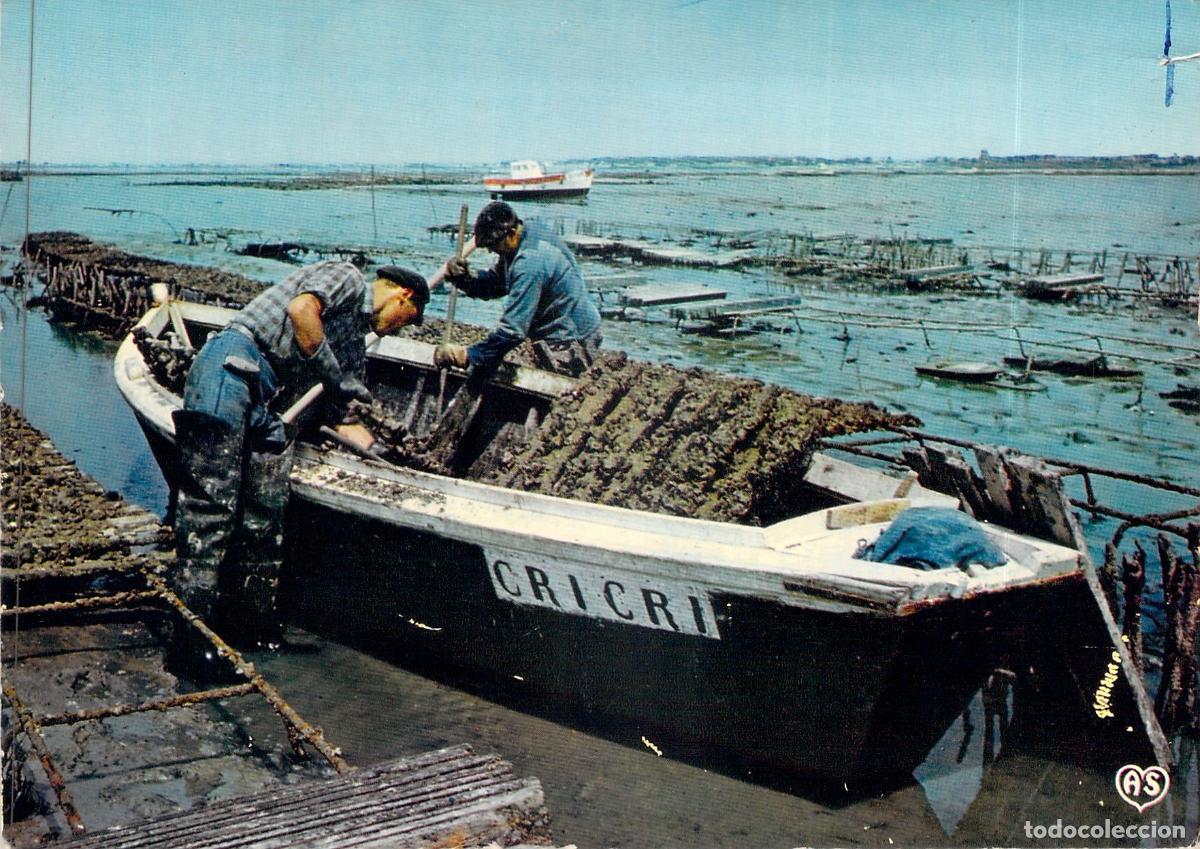 Postales: Postal de Pescadores de Ostras en L'Aiguillon-sur-Mer, Francia