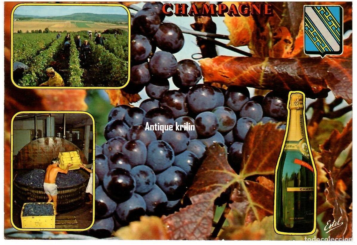 Postales: FRANCIA / SOUVENIR DE CHAMPAGNE / EDITIONS ESTEL / PHOTO VIARD / SIN CIRCULAR
