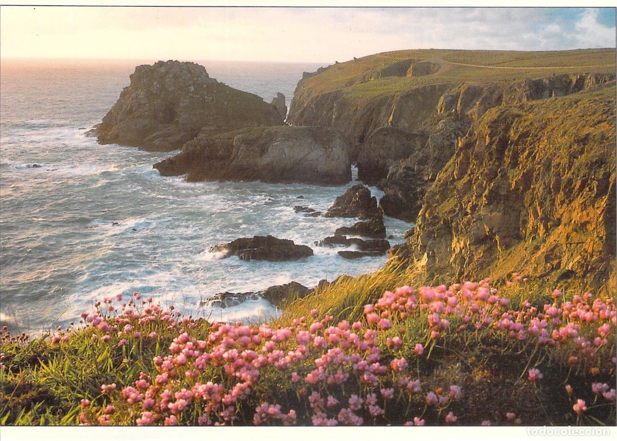 Cartes Postales: Postal Costa de Breta&ntilde;a con Acantilados y Flores