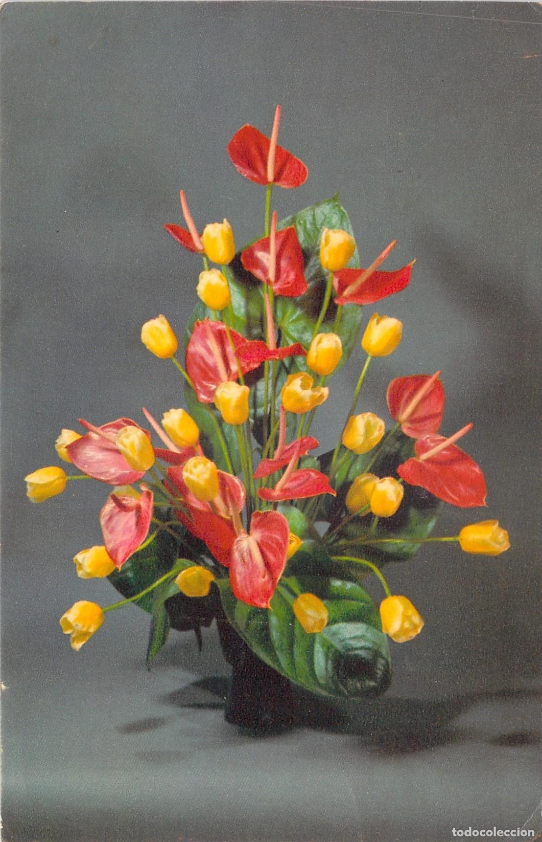 Postales: Postal de Ramo de Flores Anturios Comit&eacute; de l'Enfance