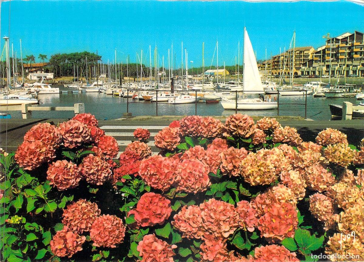 Postales: Postal de Capbreton Puerto Deportivo con Hortensias en Primer Plano