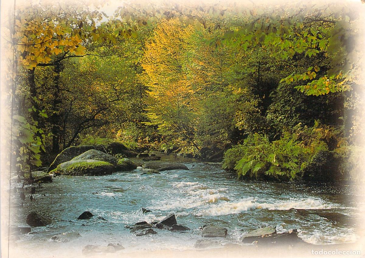 Postales: Postal Paisaje de R&iacute;o y Bosque en Oto&ntilde;o Images du Midi