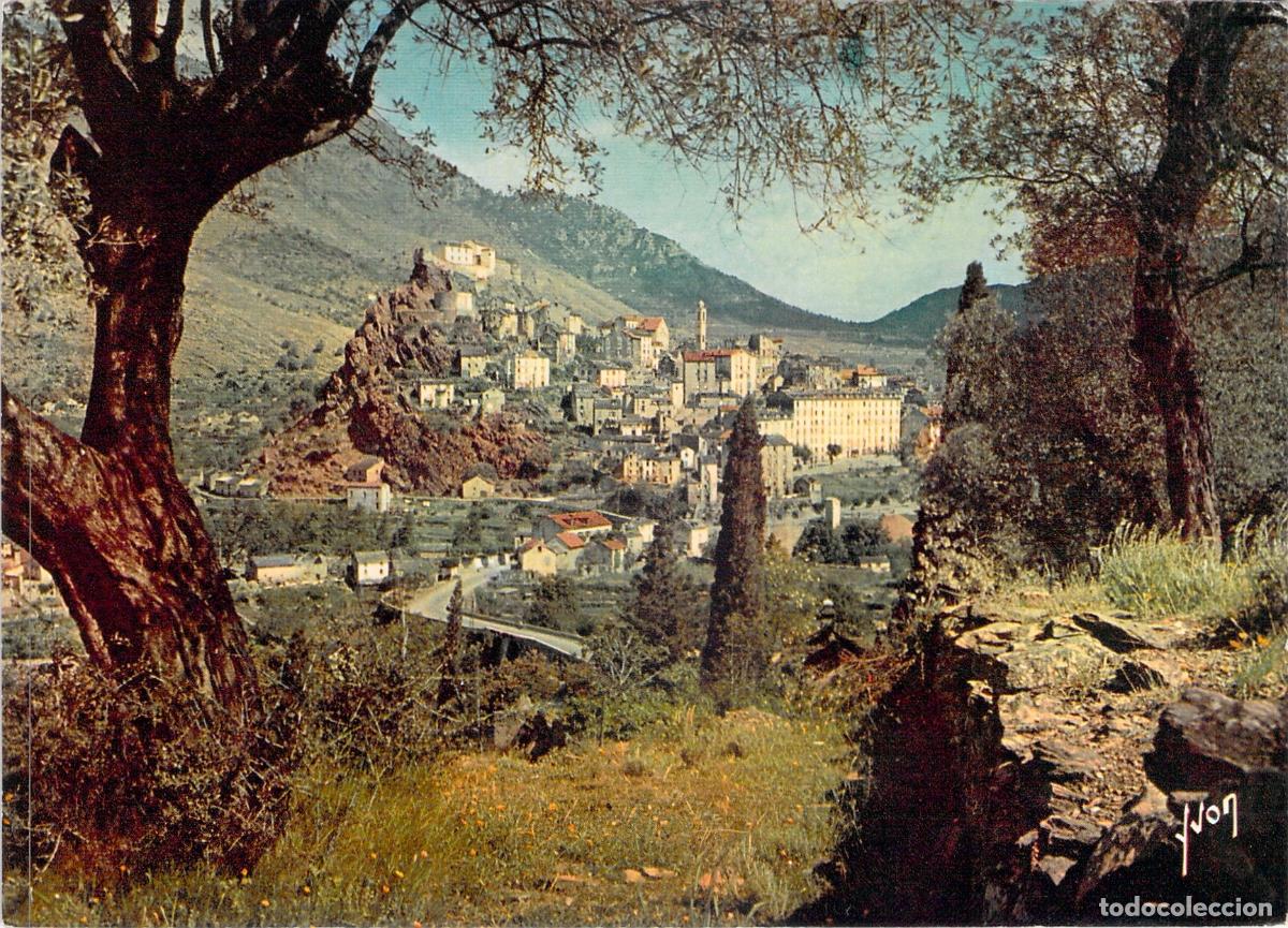 Postkarten: Postal de Corte, C&oacute;rcega: Vista de la ciudad entre olivos