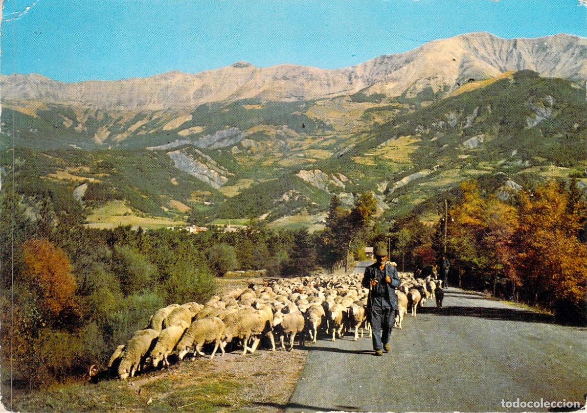 Postcards: Postal de la Transhumancia en los Alpes de Provenza, Francia