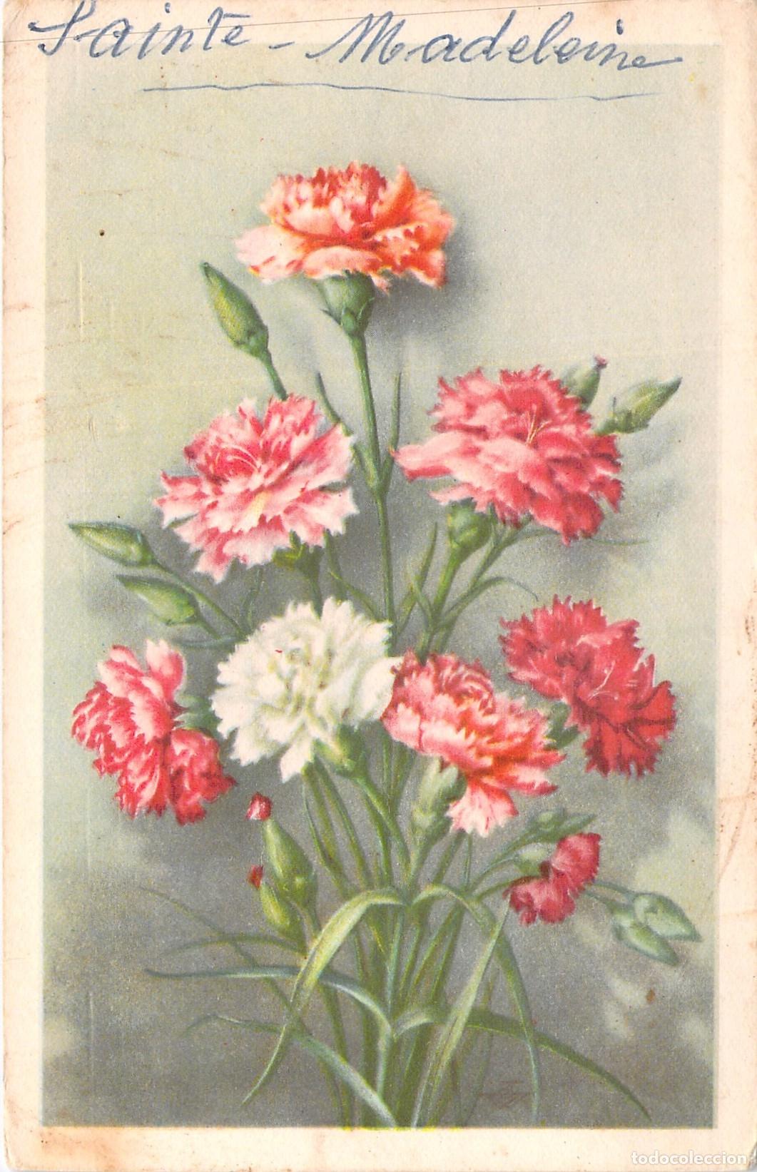 Postcards: Postal Ilustrada de Claveles para Santa Magdalena