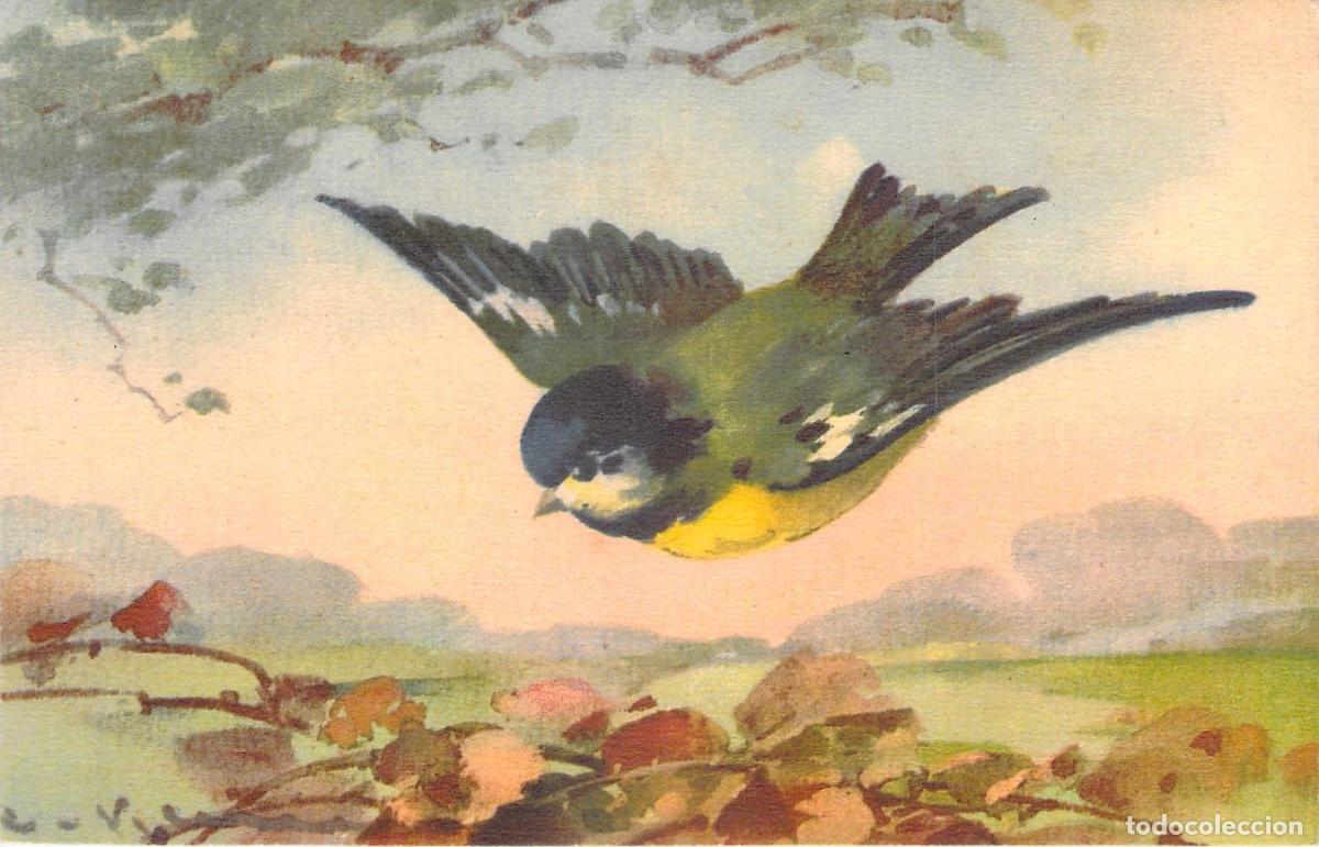 Postales: Postal Ilustrada de P&aacute;jaro en Vuelo Estilo Suizo