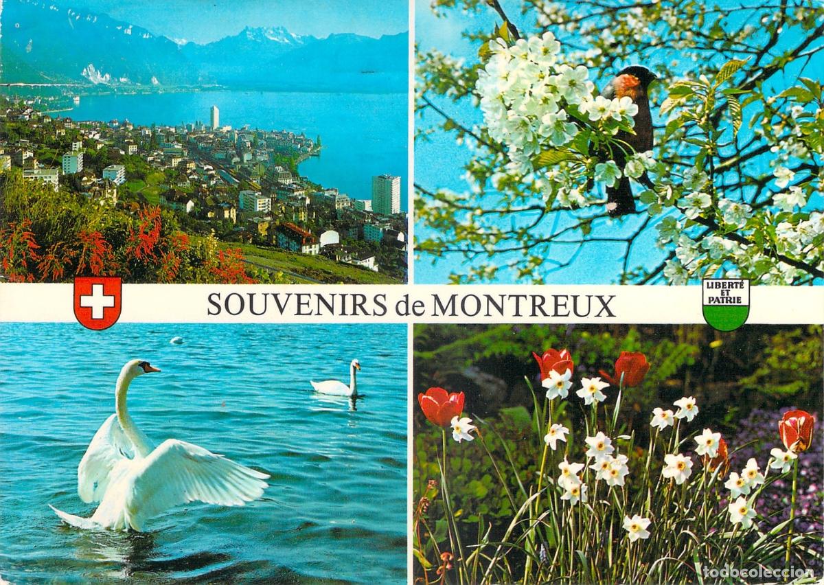 Postkarten: Postal Multivista de Souvenirs de Montreux Suiza