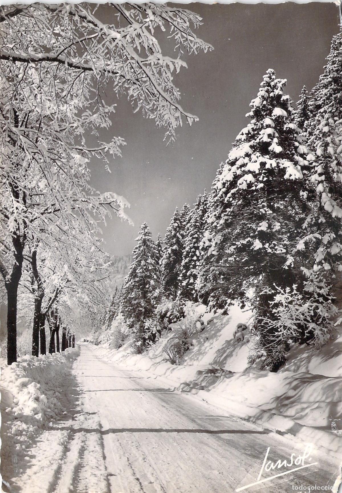 Postales: Postal del Invierno en los Alpes Franceses con Carretera y Pinos Nevados