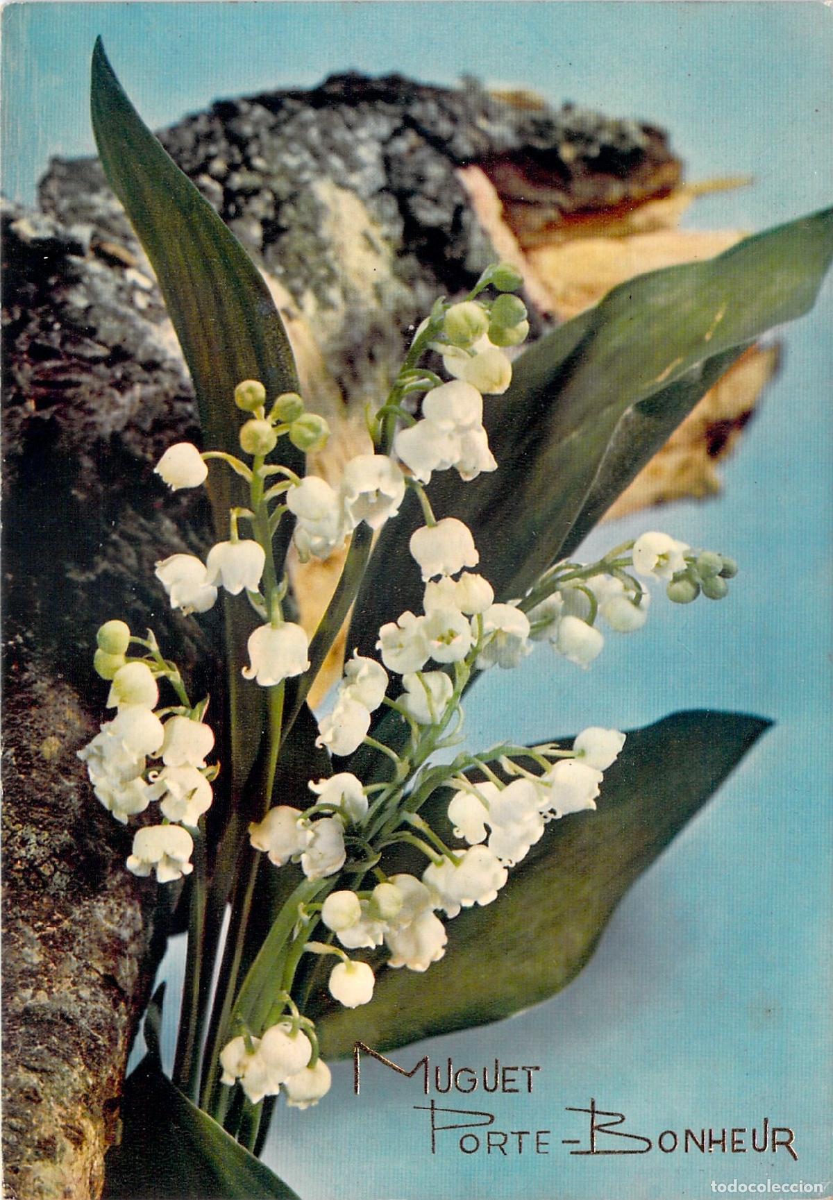 Postales: Postal Francesa de Flores Muguet Porte-Bonheur Lirio de los Valles