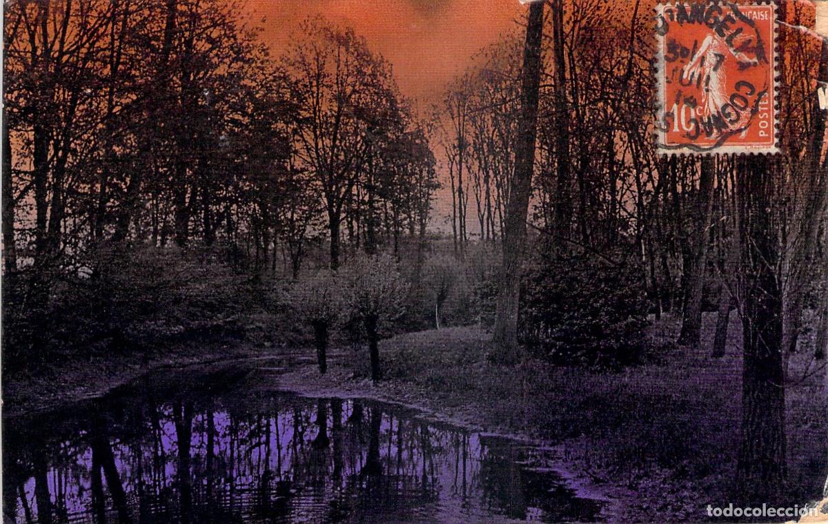 Postales: Postal Paisaje de Bosque y R&iacute;o Coloreado con Sello