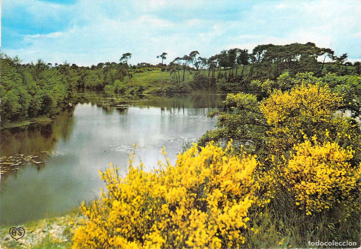 Postales: Postal de Paisaje Franc&eacute;s - Bosque y Estanque Azul con Flores