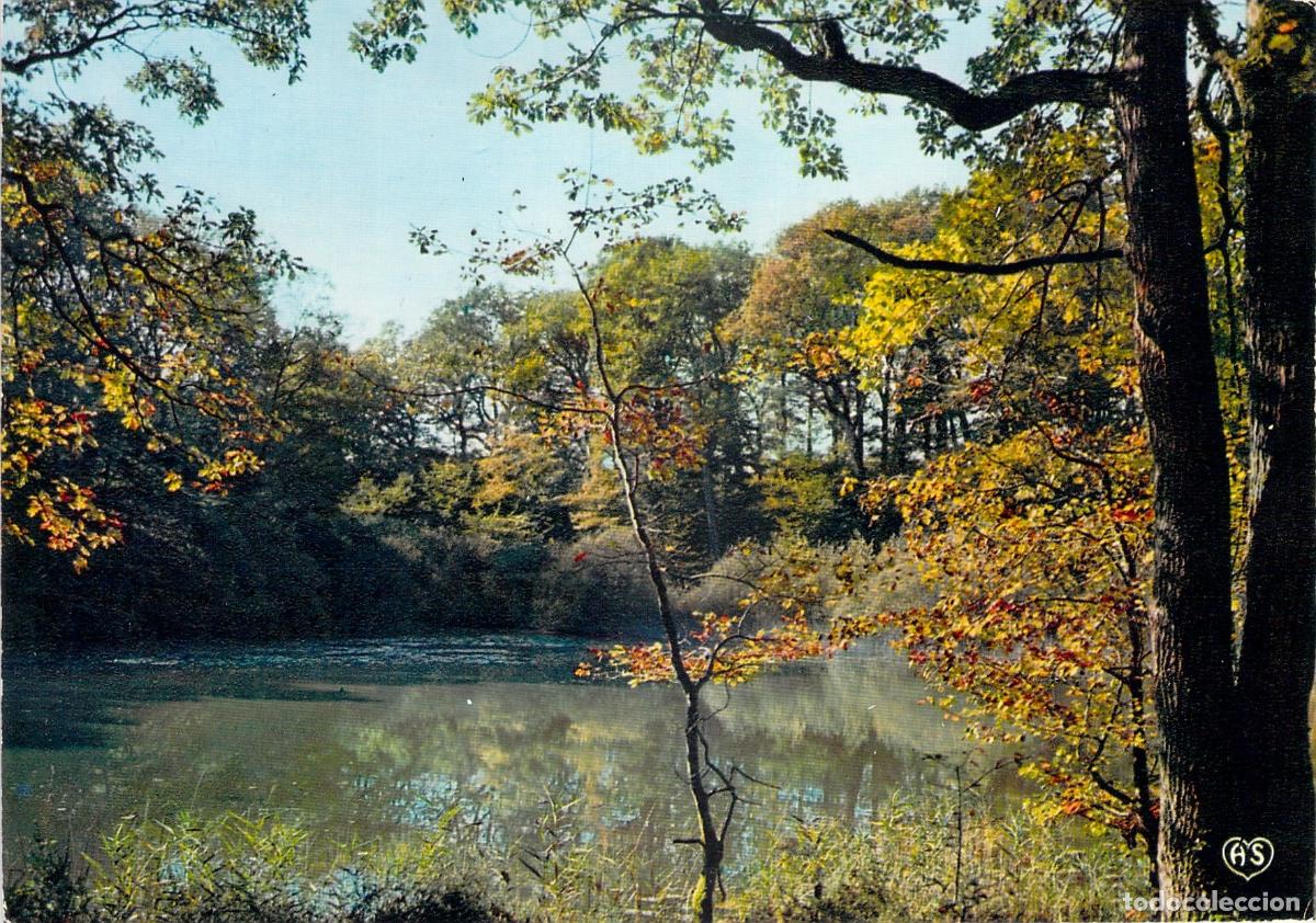 Postales: Postal de Paisaje Natural de Bosque y R&iacute;o con Poes&iacute;a de Alfred de Vigny