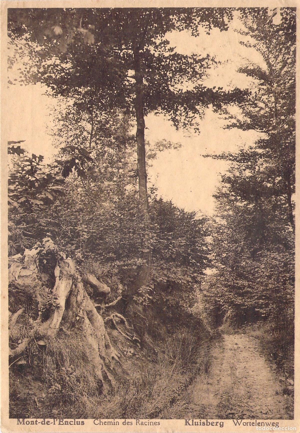 Cartoline: Postal de Mont-de-l'Enclus, Sendero de las Ra&iacute;ces, B&eacute;lgica