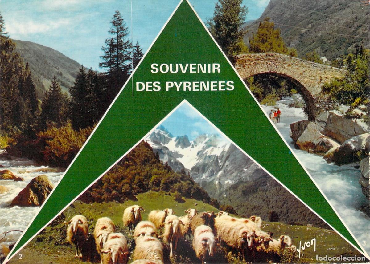 Postales: Postal Souvenir de los Pirineos con Paisajes y Reba&ntilde;o de Ovejas
