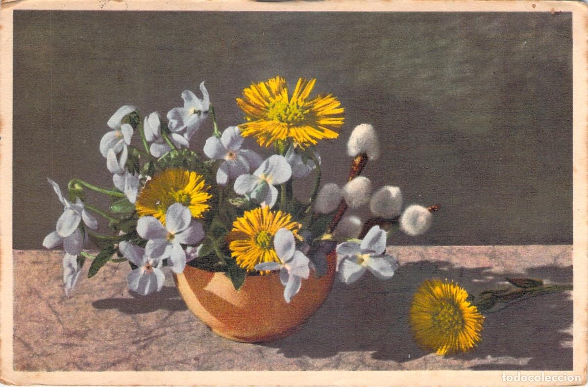 Postales: Postal Ilustraci&oacute;n de Flores Silvestres Viola y Tussilago